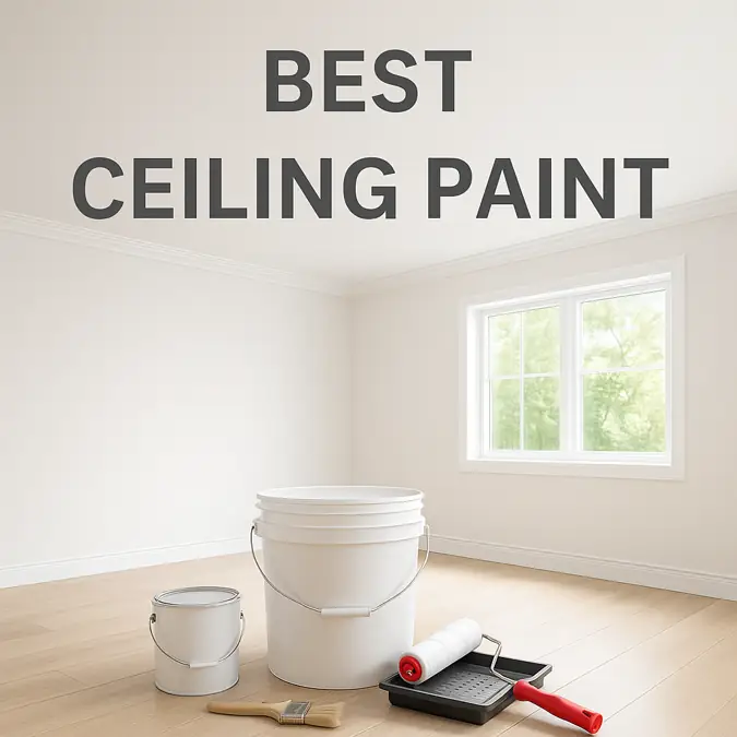 Best ceiling paint with tools in a bright modern room